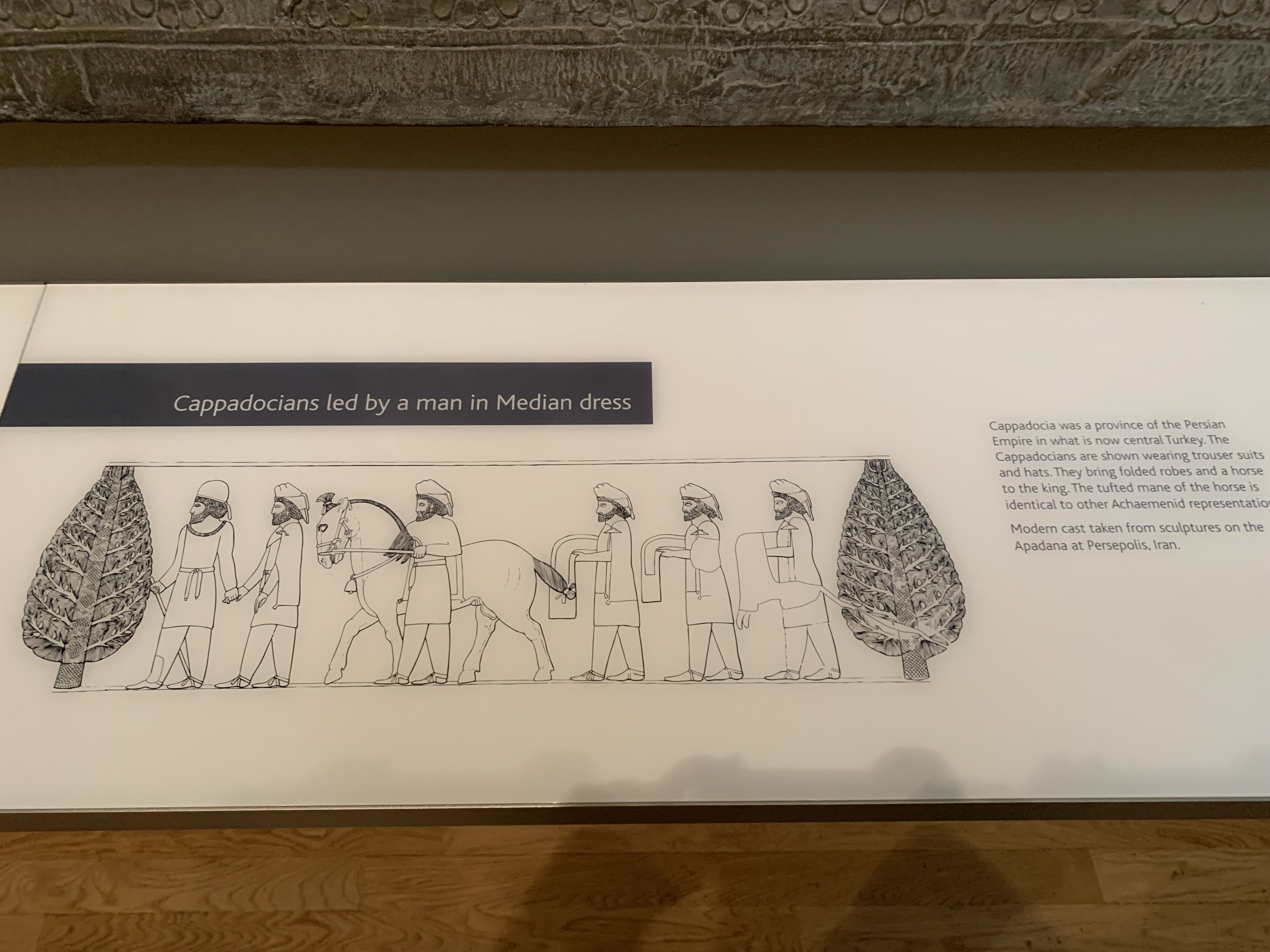 Description of a portion of a cast of the Apadana at Persepolis: Cappadocians led by a man in Median dress